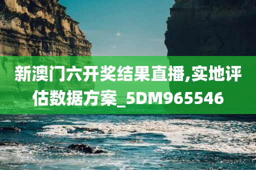 新澳门六开奖结果直播,实地评估数据方案_5DM965546