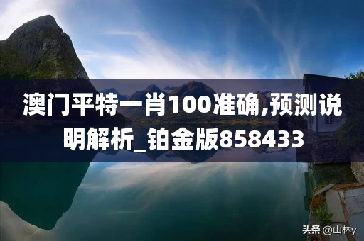 澳门平特一肖100准确,预测说明解析_铂金版858433