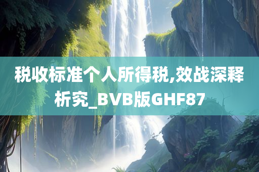 税收标准个人所得税,效战深释析究_BVB版GHF87