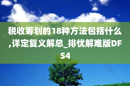 税收筹划的18种方法包括什么,详定复义解总_排忧解难版DFS4