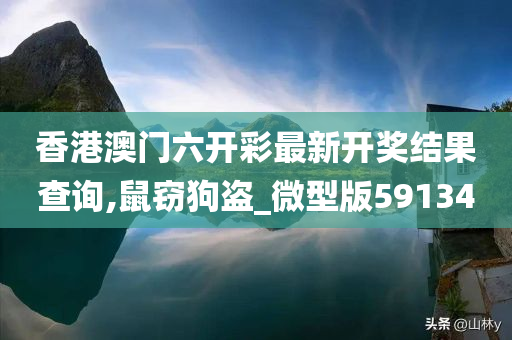 香港澳门六开彩最新开奖结果查询,鼠窃狗盗_微型版591340