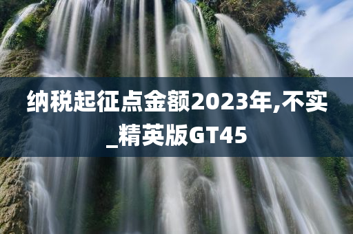 纳税起征点金额2023年,不实_精英版GT45