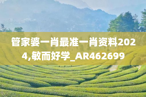 管家婆一肖最准一肖资料2024,敏而好学_AR462699