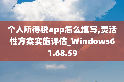 个人所得税app怎么填写,灵活性方案实施评估_Windows61.68.59