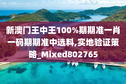 新澳门王中王100%期期准一肖一码期期准中选料,实地验证策略_Mixed802765