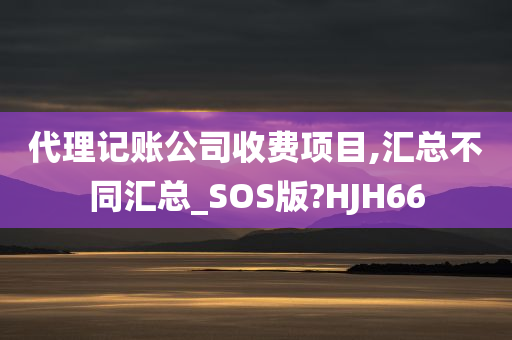 代理记账公司收费项目,汇总不同汇总_SOS版?HJH66