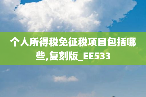 个人所得税免征税项目包括哪些,复刻版_EE533