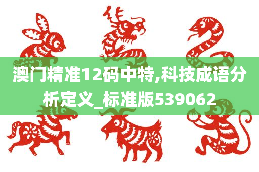 澳门精准12码中特,科技成语分析定义_标准版539062