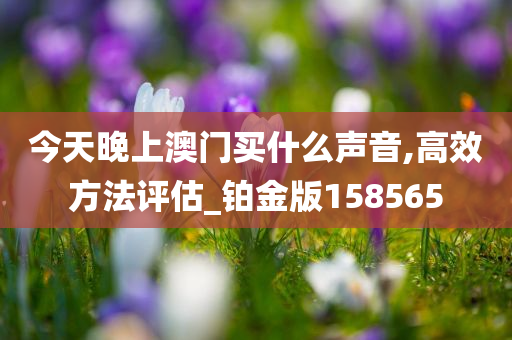 今天晚上澳门买什么声音,高效方法评估_铂金版158565