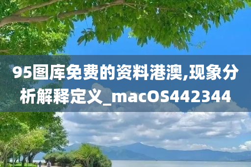 95图库免费的资料港澳,现象分析解释定义_macOS442344