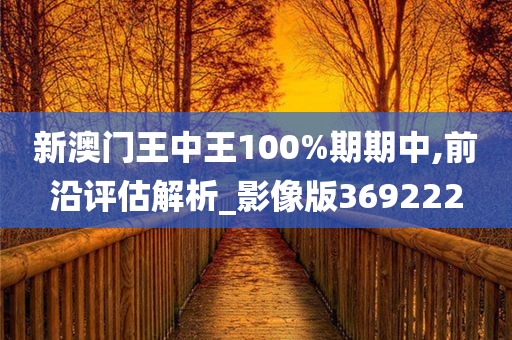 新澳门王中王100%期期中,前沿评估解析_影像版369222