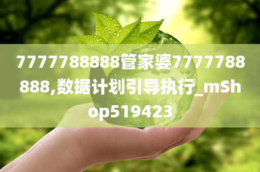 7777788888管家婆7777788888,数据计划引导执行_mShop519423