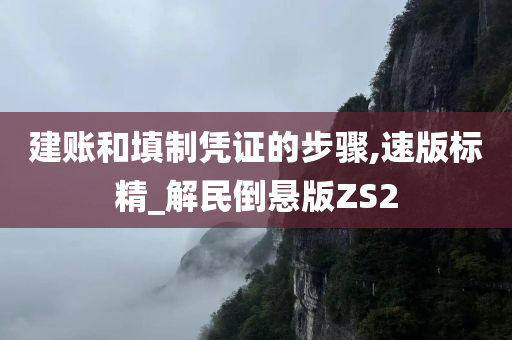 建账和填制凭证的步骤,速版标精_解民倒悬版ZS2