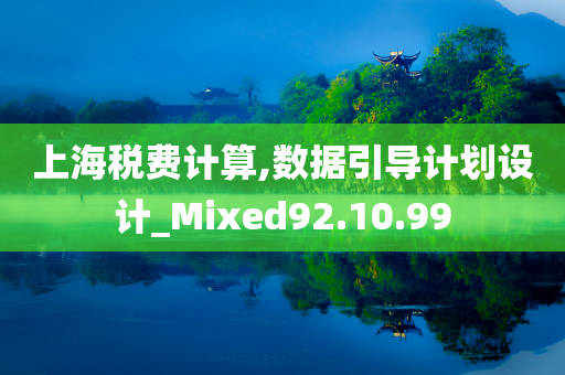 上海税费计算,数据引导计划设计_Mixed92.10.99