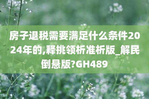 房子退税需要满足什么条件2024年的,释挑领析准析版_解民倒悬版?GH489