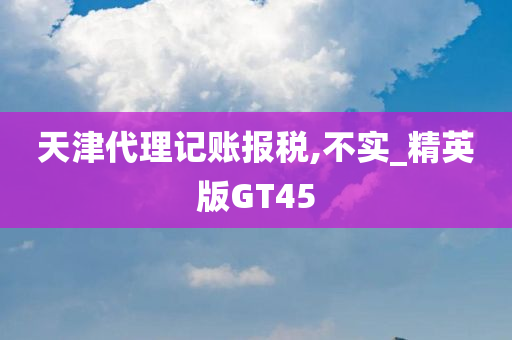 天津代理记账报税,不实_精英版GT45