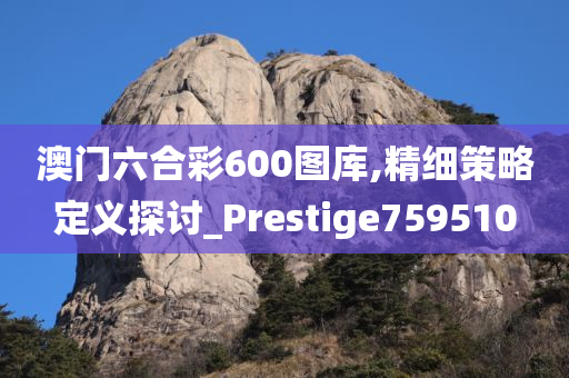 澳门六合彩600图库,精细策略定义探讨_Prestige759510