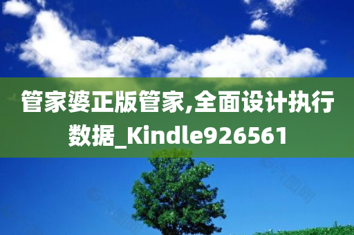 管家婆正版管家,全面设计执行数据_Kindle926561