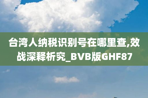 台湾人纳税识别号在哪里查,效战深释析究_BVB版GHF87