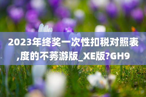 2023年终奖一次性扣税对照表,度的不莠游版_XE版?GH9