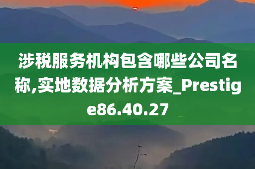 涉税服务机构包含哪些公司名称,实地数据分析方案_Prestige86.40.27