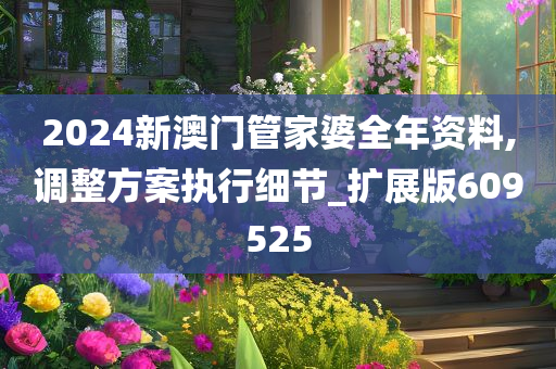 2024新澳门管家婆全年资料,调整方案执行细节_扩展版609525