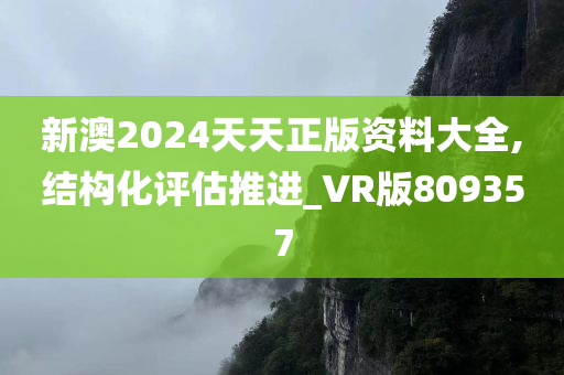 新澳2024天天正版资料大全,结构化评估推进_VR版809357