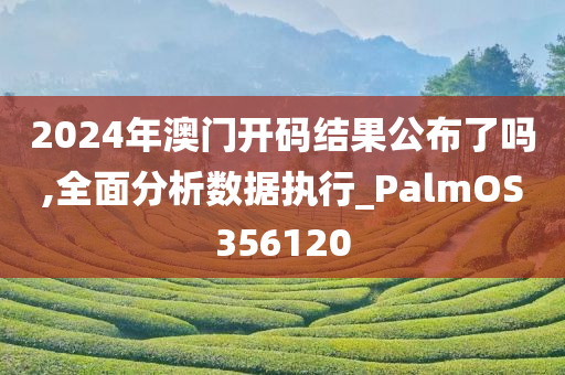 2024年澳门开码结果公布了吗,全面分析数据执行_PalmOS356120