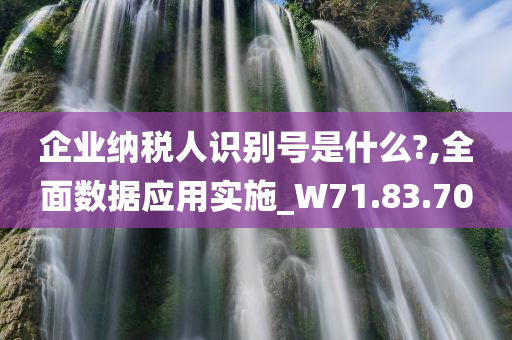 企业纳税人识别号是什么?,全面数据应用实施_W71.83.70