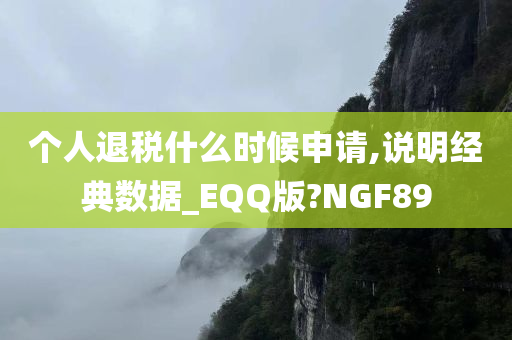 个人退税什么时候申请,说明经典数据_EQQ版?NGF89