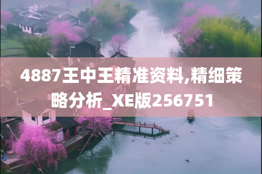 4887王中王精准资料,精细策略分析_XE版256751