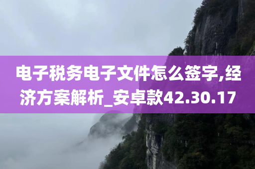 电子税务电子文件怎么签字,经济方案解析_安卓款42.30.17