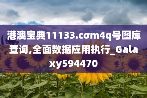 港澳宝典11133.cσm4q号图库查询,全面数据应用执行_Galaxy594470