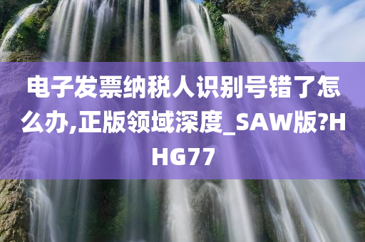 电子发票纳税人识别号错了怎么办,正版领域深度_SAW版?HHG77