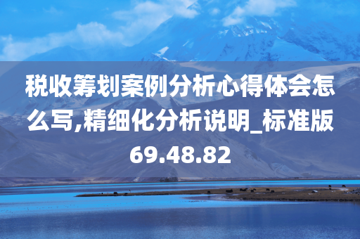 税收筹划案例分析心得体会怎么写,精细化分析说明_标准版69.48.82