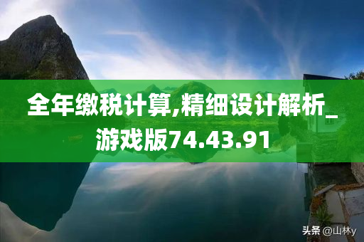 全年缴税计算,精细设计解析_游戏版74.43.91