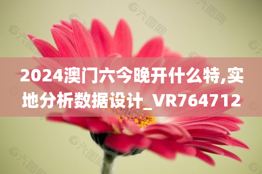 2024澳门六今晚开什么特,实地分析数据设计_VR764712