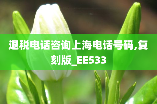 退税电话咨询上海电话号码,复刻版_EE533