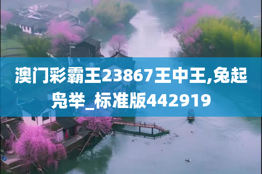 澳门彩霸王23867王中王,兔起凫举_标准版442919