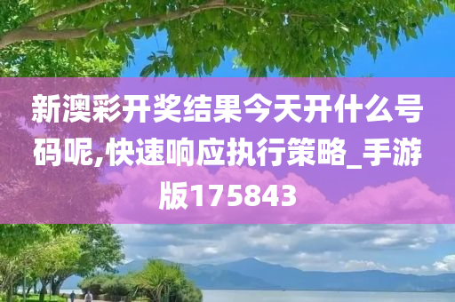 新澳彩开奖结果今天开什么号码呢,快速响应执行策略_手游版175843