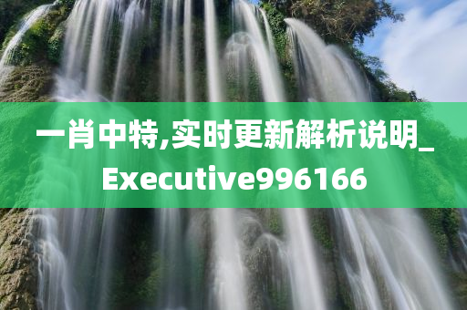 一肖中特,实时更新解析说明_Executive996166