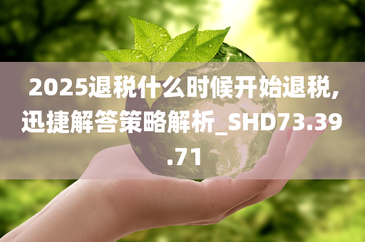 2025退税什么时候开始退税,迅捷解答策略解析_SHD73.39.71