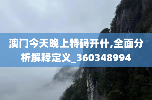 澳门今天晚上特码开什,全面分析解释定义_360348994