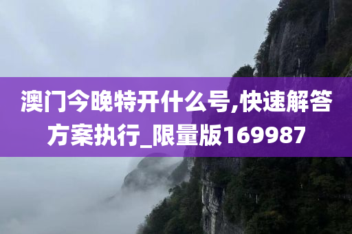 澳门今晚特开什么号,快速解答方案执行_限量版169987