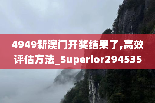 4949新澳门开奖结果了,高效评估方法_Superior294535