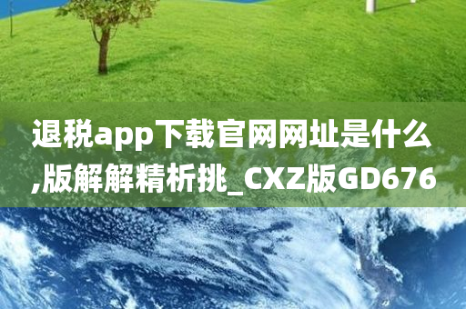 退税app下载官网网址是什么,版解解精析挑_CXZ版GD676