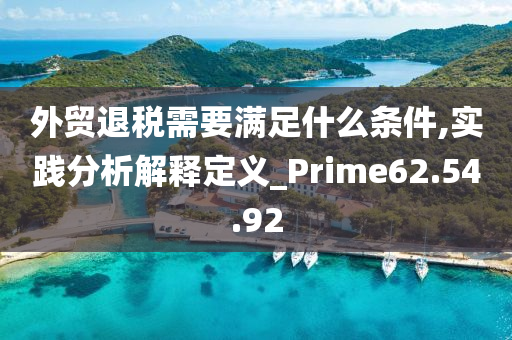 外贸退税需要满足什么条件,实践分析解释定义_Prime62.54.92