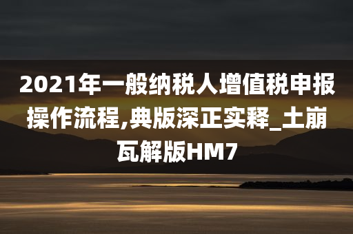 2021年一般纳税人增值税申报操作流程,典版深正实释_土崩瓦解版HM7