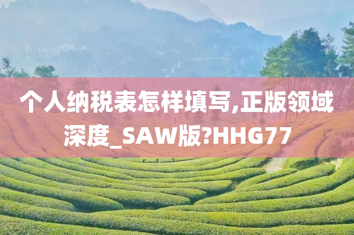 个人纳税表怎样填写,正版领域深度_SAW版?HHG77