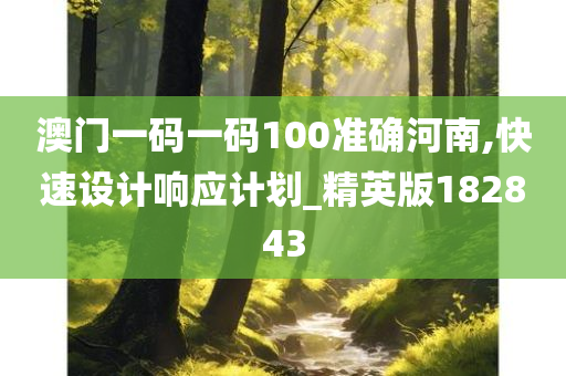 澳门一码一码100准确河南,快速设计响应计划_精英版182843